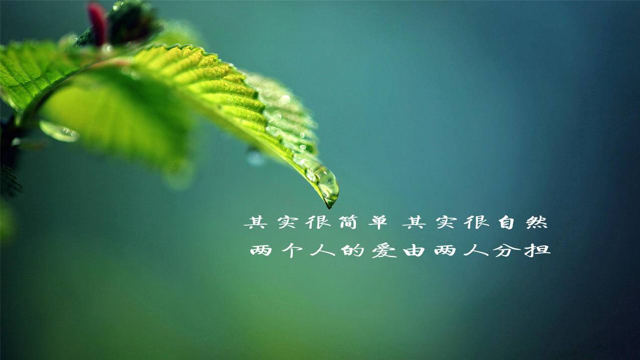 客服主管王小华